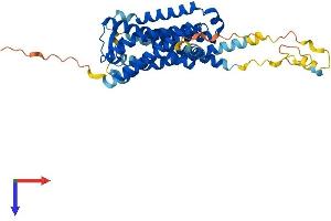 AlphaFold protein structure predicition of Human Recombinant GPR173 Protein, UniprotID Q9NS66