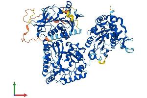 AlphaFold protein structure predicition of Mouse Recombinant Ndst1 Protein, UniprotID Q3UHN9