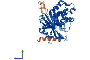AlphaFold protein structure predicition of Human Recombinant USP18 Protein, UniprotID Q9UMW8
