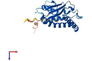 AlphaFold protein structure predicition of Mouse Recombinant Trappc3l Protein, UniprotID Q4KL14