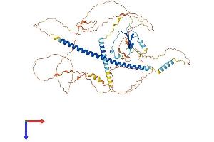 AlphaFold protein structure predicition of Mouse Recombinant Atf6 Protein, UniprotID F6VAN0