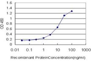 Detection limit for recombinant GST tagged NSDHL is approximately 0. (NSDHL anticorps  (AA 1-110))