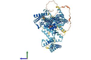 AlphaFold protein structure predicition of Mouse Recombinant Tpcn1 Protein, UniprotID Q9EQJ0