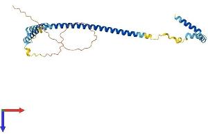 AlphaFold protein structure predicition of Human Recombinant CENPQ Protein, UniprotID Q7L2Z9