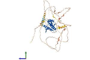 AlphaFold protein structure predicition of Human Recombinant N4BP2L2 Protein, UniprotID Q92802