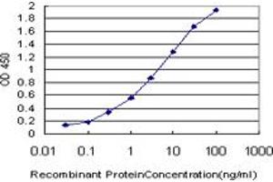 Detection limit for recombinant GST tagged PRKCI is approximately 0. (PKC iota anticorps  (AA 1-100))