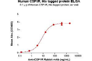 ELISA plate pre-coated by 1 μg/mL (100 μL/well) Human R Protein, His Tag (ABIN6961125, ABIN7042279 and ABIN7042280) can bind Anti-R Rabbit mAb in a linear range of 3.