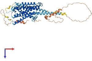 AlphaFold protein structure predicition of Mouse Recombinant Adra2c Protein, UniprotID Q01337