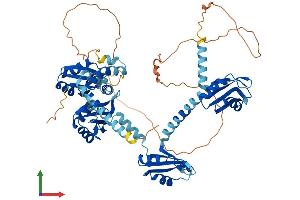 AlphaFold protein structure predicition of Human Recombinant PABPC3 Protein, UniprotID Q9H361