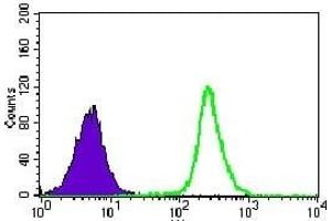 Flow cytometric analysis of K562 cells using PPP2CB mouse mAb (green) and negative control (purple). (PPP2CB anticorps)