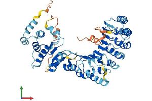 AlphaFold protein structure predicition of Human Recombinant PRAMEF22 Protein, UniprotID A3QJZ6