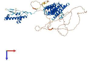 AlphaFold protein structure predicition of Human Recombinant TAF6L Protein, UniprotID Q9Y6J9