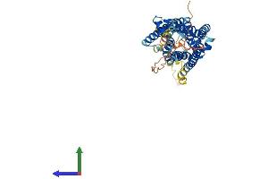 AlphaFold protein structure predicition of Human Recombinant GPR39 Protein, UniprotID O43194