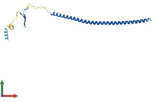 AlphaFold protein structure predicition of Human Recombinant STMN2 Protein, UniprotID Q93045