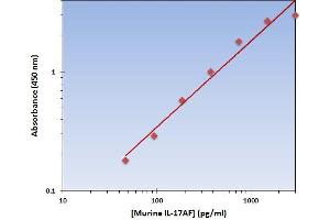 This is an example of what a typical standard curve will look like. (IL-17A/F Kit ELISA)
