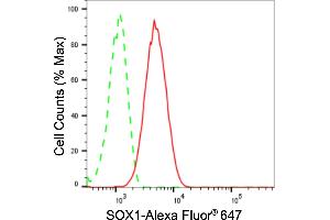 Flow cytometric analysis of SOX1 expression in C2C12 cells using SOX1 antibody (ABIN7800971), 1:2,000). (Recombinant SOX1 anticorps)