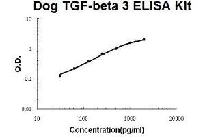 Dog TGF-beta 3 PicoKine ELISA Kit standard curve (TGFB3 Kit ELISA)