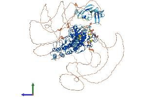 AlphaFold protein structure predicition of Human Recombinant EHMT1 Protein, UniprotID Q9H9B1