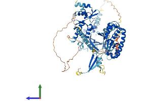 AlphaFold protein structure predicition of Human Recombinant POLR3E Protein, UniprotID Q9NVU0