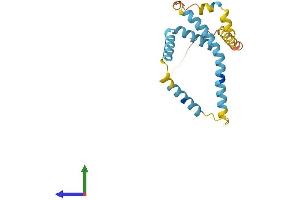 AlphaFold protein structure predicition of Human Recombinant FUNDC2 Protein, UniprotID Q9BWH2
