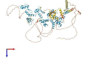 AlphaFold protein structure predicition of Human Recombinant ZBTB17 Protein, UniprotID Q13105
