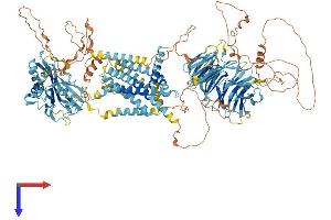 SREBF chaperone (SCAP) (AA 1-1279) protein (His tag)