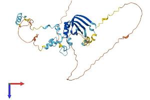AlphaFold protein structure predicition of Mouse Recombinant Lsm11 Protein, UniprotID Q8BUV6