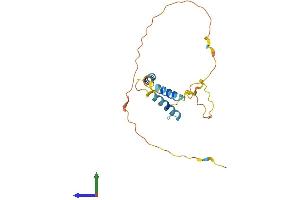 AlphaFold protein structure predicition of Mouse Recombinant Bcl2l11 Protein, UniprotID O54918