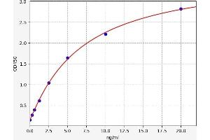 Typical standard curve (LRP11 Kit ELISA)