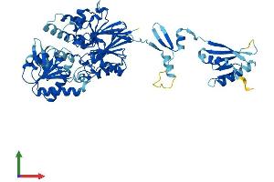 AlphaFold protein structure predicition of Mouse Recombinant Ints11 Protein, UniprotID Q9CWS4