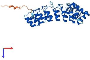 AlphaFold protein structure predicition of Human Recombinant ASB13 Protein, UniprotID Q8WXK3