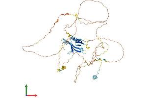 AlphaFold protein structure predicition of Human Recombinant GAB3 Protein, UniprotID Q8WWW8