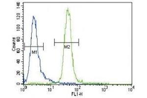 MUSK antibody flow cytometric analysis of CEM cells (right histogram) compared to a negative control cell (left histogram).