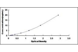 Typical standard curve (ERLIN1 Kit ELISA)