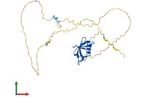AlphaFold protein structure predicition of Human Recombinant UBXN10 Protein, UniprotID Q96LJ8