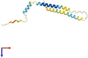AlphaFold protein structure predicition of Human Recombinant SLC51B Protein, UniprotID Q86UW2