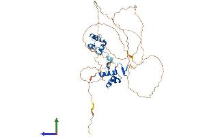 AlphaFold protein structure predicition of Human Recombinant PAX8 Protein, UniprotID Q06710