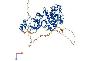 AlphaFold protein structure predicition of Human Recombinant DYRK4 Protein, UniprotID Q9NR20