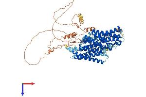 AlphaFold protein structure predicition of Human Recombinant SLC20A1 Protein, UniprotID Q8WUM9