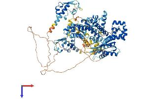 AlphaFold protein structure predicition of Human Recombinant GTF2IRD2 Protein, UniprotID Q86UP8