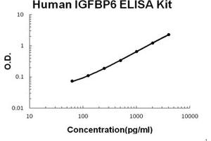 Human IGFBP6 PicoKine ELISA Kit standard curve