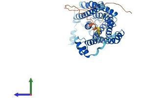AlphaFold protein structure predicition of Human Recombinant CERS4 Protein, UniprotID Q9HA82