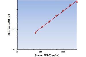 This is an example of what a typical standard curve will look like. (BMP7 Kit ELISA)