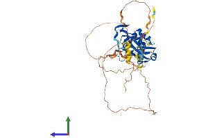 AlphaFold protein structure predicition of Mouse Recombinant Tbx6 Protein, UniprotID P70327