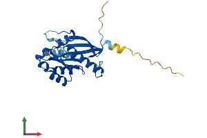AlphaFold protein structure predicition of Human Recombinant RAB4A Protein, UniprotID P20338