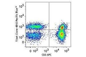 Flow Cytometry (FACS) image for anti-T-Bet antibody (Pacific Blue) (ABIN2662108) (T-Bet anticorps  (Pacific Blue))