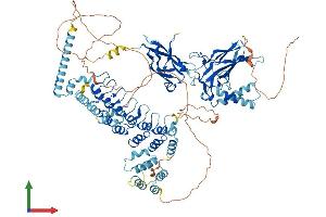 AlphaFold protein structure predicition of Mouse Recombinant Nfkb2 Protein, UniprotID Q9WTK5
