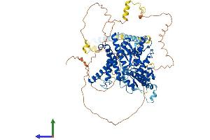 AlphaFold protein structure predicition of Human Recombinant YME1L1 Protein, UniprotID Q96TA2