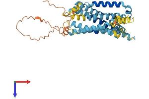 AlphaFold protein structure predicition of Mouse Recombinant Gpr142 Protein, UniprotID Q7TQN9