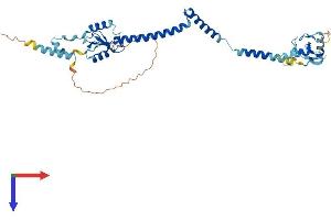 AlphaFold protein structure predicition of Human Recombinant RNF32 Protein, UniprotID Q9H0A6